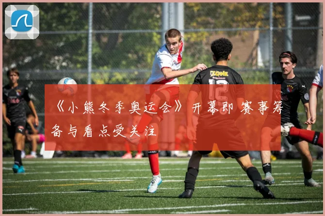 《小熊冬季奥运会》开幕即 赛事筹备与看点受关注