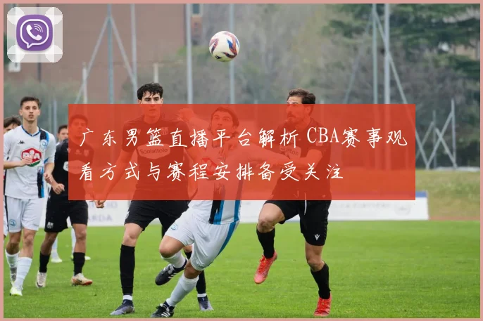广东男篮直播平台解析 CBA赛事观看方式与赛程安排备受关注